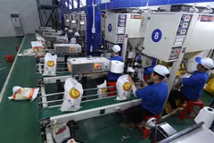 Trade surplus estimated at 7.21 billion USD this year
