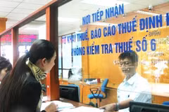 IT application makes easier for tax payers