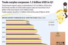 Trade surplus surpasses 1.3 billion USD in Q1