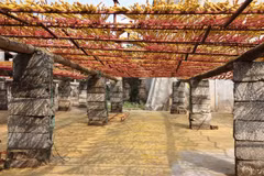 Hundred year-old incense village in Hung Yen