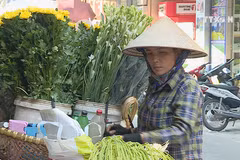 A glimpse at female street vendors in Hanoi