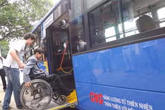 Da Nang seeks ways to promote public transport 