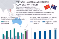 Vietnam – Australia economic cooperation thrives