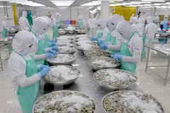 Aquatic product exports rake in 7.24 billion USD in 10 months