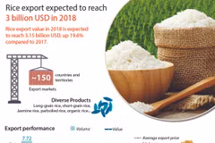 Rice export expected to reach 3 billion USD