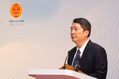 Unprecedented solutions provided for foreign firms in Vietnam: Official