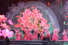 Lang Son peach blossom festival in full swing