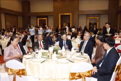 Vietnamese embassies celebrate Tet with friends in Laos, Egypt