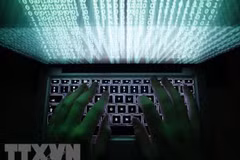Computer viruses cause losses of 716 million USD in 2023