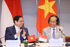 Vietnam, Indonesia eye stronger economic, trade ties