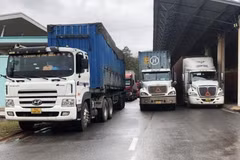 Vietnam-Laos trade turnover increases sharply in January