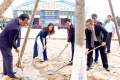 Planting a billion trees on the path to success