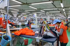 Multidisciplinary linkages bring high value to businesses