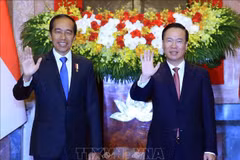 Indonesian President concludes state visit to Vietnam
