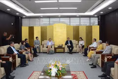 Da Nang to promote semiconductor cooperation with US: Official