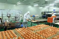 Vietnam has potential to promote livestock product exports to China