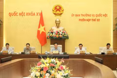 NA Standing Committee debates draft Law on Urban and Rural Planning