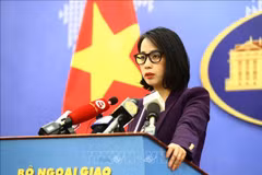 Tu Chinh reef part of Vietnam’s continental shelf: Spokesperson