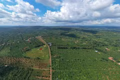 Dak Lak firm pioneers in following EUDR in coffee production