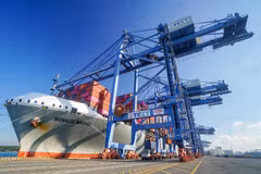 Export opportunities to be optimised in 2024: Minister