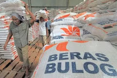 Indonesia needs to import 500,000 tonnes of rice in Q1