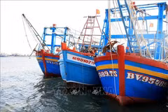 Vessels involved in IUU fishing decline sharply in Ba Ria - Vung Tau