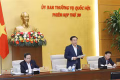 NA Standing Committee convenes 30th meeting