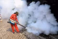 Indonesia logs threefold increase in dengue cases