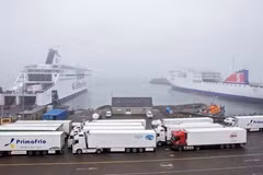 Embassy ready for citizen protection measures regarding case of migrants found in container in Rosslare port
