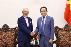 Deputy PM praises Japanese foundations for decades of support