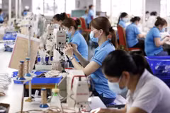 Vietnamese economy proceeding as predicted: experts