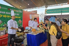 Kon Tum culinary contest honours 120 dishes from local ginseng