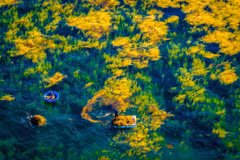 Heritage Journey photo contest 2024 to receive entries from April 1