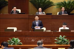 Finance Minister fields questions by National Assembly Standing Committee 