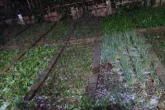 Heavy showers, hail hit Lao Cai