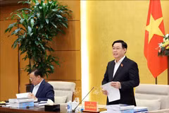 Hanoi-related drafts discussed by NA’s Party Delegation, local officials