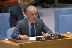 Vietnam to join global efforts addressing impact of climate change, food insecurity: Diplomat