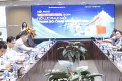 Vietnam advised to utilise opportunities to overcome difficulties