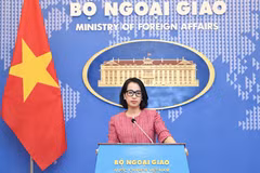 Vietnam welcomes UNSC’s resolution on Gaza ceasefire: Spokeswoman