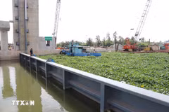 PM orders sufficient water for residents during saline intrusion