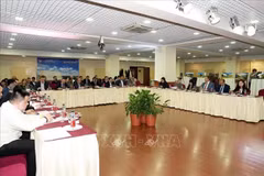Measures sought to boost Vietnam - Russia digital economic cooperation 
