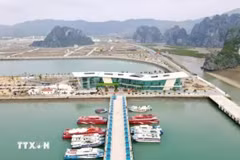Quang Ninh: Van Don bans plastic products on five island communes