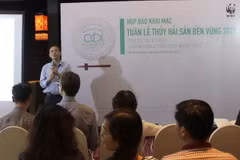 Seafood week pushes eco-friendly products 