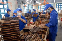 Timber industry may flounder later in year 