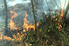 ASEAN nations join hands in trans-boundary haze pollution control 