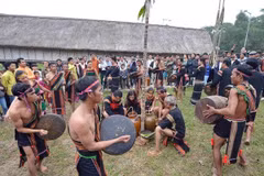 Binh Dinh: fading ethnic music requires practical measures 