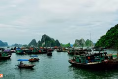 Soc Trang turns sea-borne economy into major pillar 