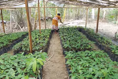 Singapore, Indonesia boost agricultural cooperation