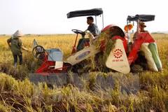 Post-harvest loss reduction policies remain inefficient