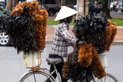 Preserving tradition through the production of chicken feather brooms